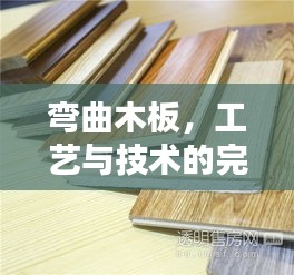 弯曲木板，工艺与技术的完美融合
