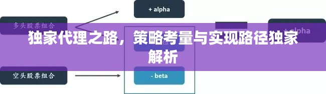独家代理之路，策略考量与实现路径独家解析