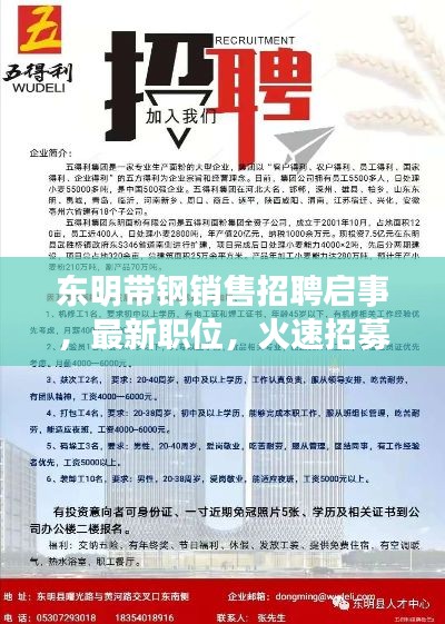 东明带钢销售招聘启事，最新职位，火速招募人才！