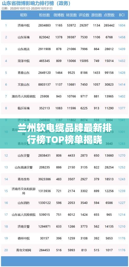 兰州软电缆品牌最新排行榜TOP榜单揭晓