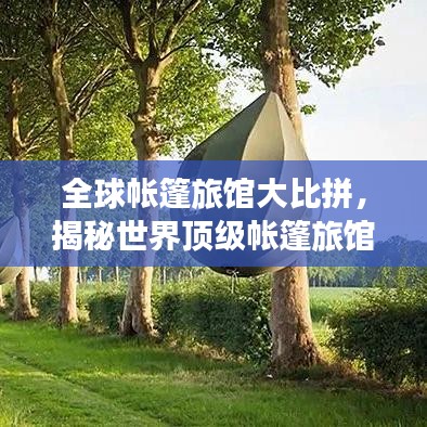 全球帐篷旅馆大比拼，揭秘世界顶级帐篷旅馆排名！