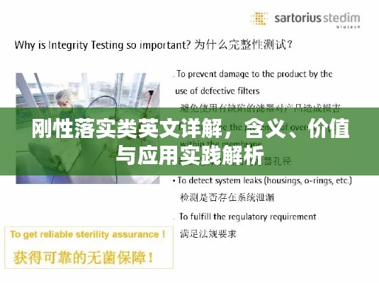 刚性落实类英文详解，含义、价值与应用实践解析