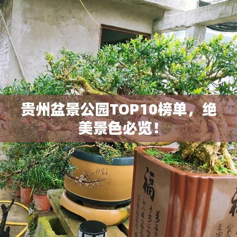 贵州盆景公园TOP10榜单，绝美景色必览！