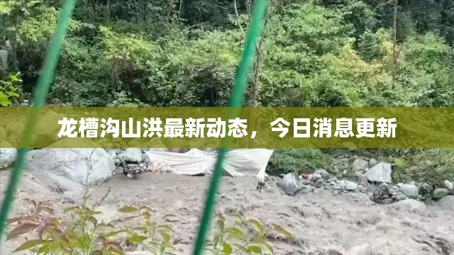 龙槽沟山洪最新动态，今日消息更新