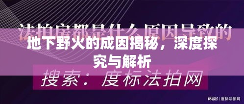 地下野火的成因揭秘，深度探究与解析