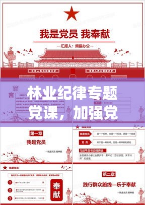 林业纪律专题党课，加强党风廉政建设，深化林业行业自律教育