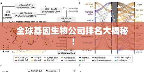 全球基因生物公司排名大揭秘！