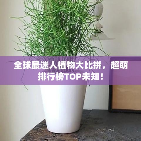 全球最迷人植物大比拼，超萌排行榜TOP未知！
