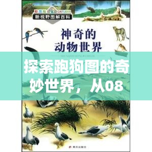 探索跑狗图的奇妙世界，从08449跑狗图专题网启程