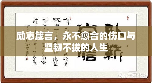 励志箴言，永不愈合的伤口与坚韧不拔的人生