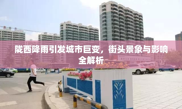 陇西降雨引发城市巨变，街头景象与影响全解析