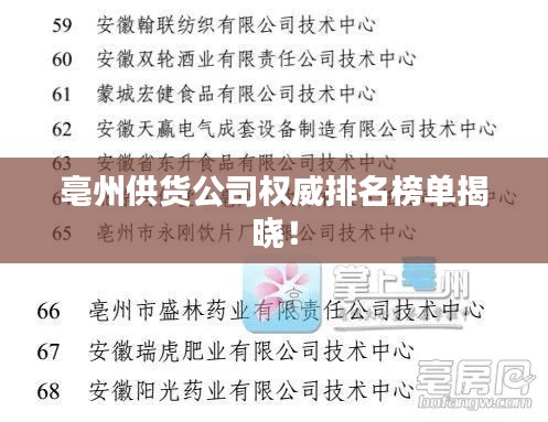 亳州供货公司权威排名榜单揭晓！