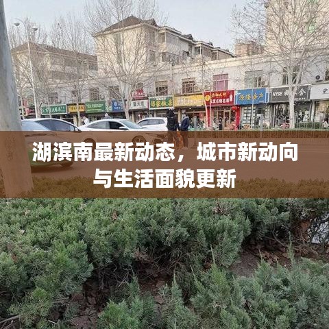 湖滨南最新动态，城市新动向与生活面貌更新