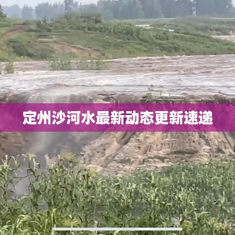 定州沙河水最新动态更新速递