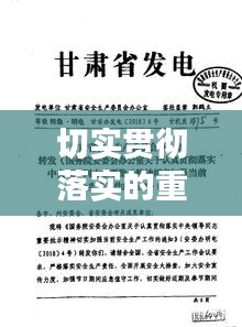 切实贯彻落实的重要性与行动实践