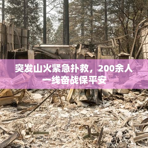 突发山火紧急扑救，200余人一线奋战保平安