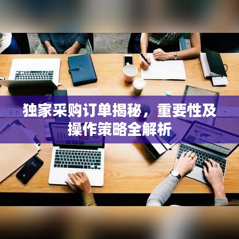 独家采购订单揭秘，重要性及操作策略全解析