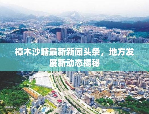 樟木沙塘最新新闻头条，地方发展新动态揭秘