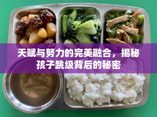 天赋与努力的完美融合，揭秘孩子跳级背后的秘密