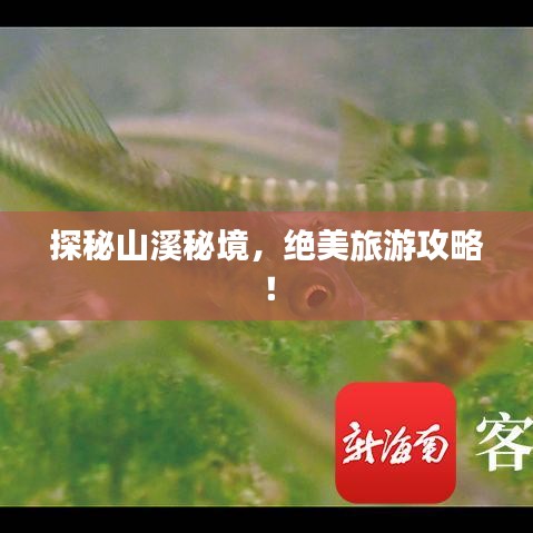 探秘山溪秘境，绝美旅游攻略！