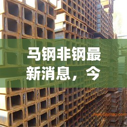 马钢非钢最新消息，今日价格动态及市场走势分析