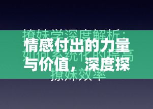 情感付出的力量与价值，深度探讨其意义与影响