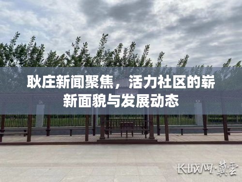 耿庄新闻聚焦，活力社区的崭新面貌与发展动态