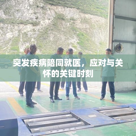 突发疾病陪同就医，应对与关怀的关键时刻