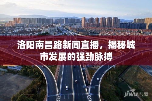 洛阳南昌路新闻直播，揭秘城市发展的强劲脉搏