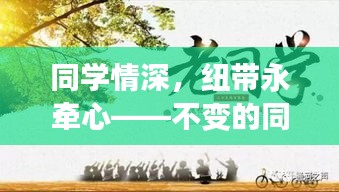 同学情深，纽带永牵心——不变的同窗情谊