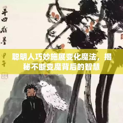 聪明人巧妙施展变化魔法，揭秘不断变魔背后的智慧