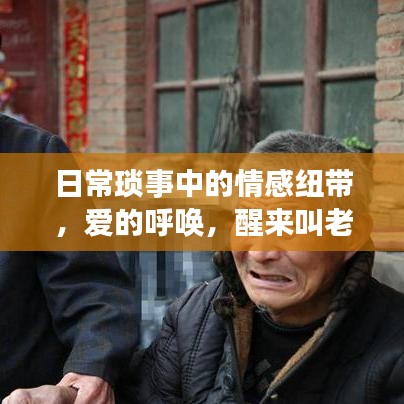 日常琐事中的情感纽带，爱的呼唤，醒来叫老婆的甜蜜瞬间