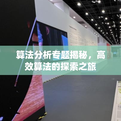 算法分析专题揭秘，高效算法的探索之旅