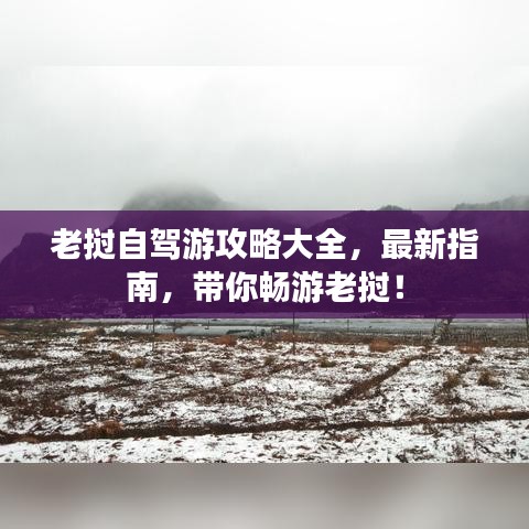 龙马精神