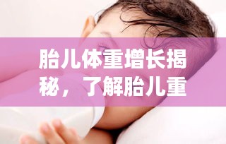 胎儿体重增长揭秘，了解胎儿重量增大的过程与意义