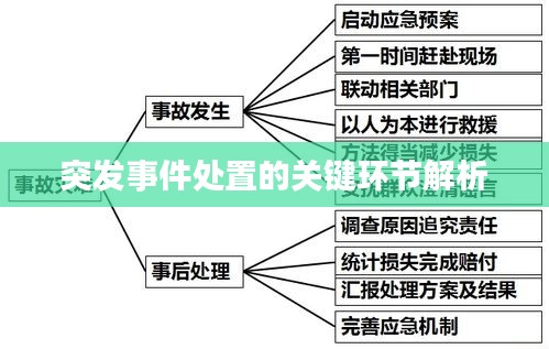 突发事件处置的关键环节解析