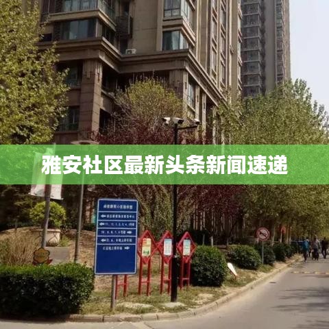 雅安社区最新头条新闻速递