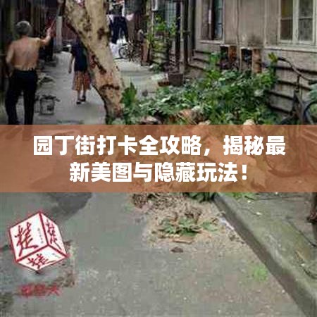 园丁街打卡全攻略，揭秘最新美图与隐藏玩法！