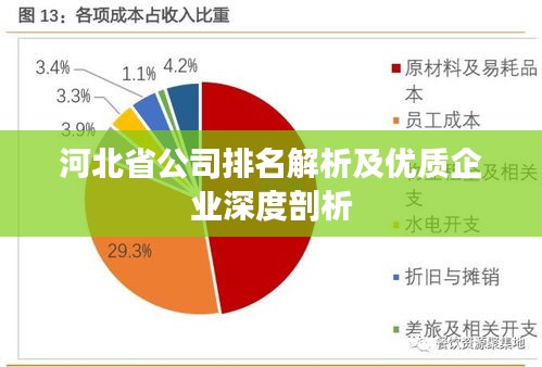 河北省公司排名解析及优质企业深度剖析
