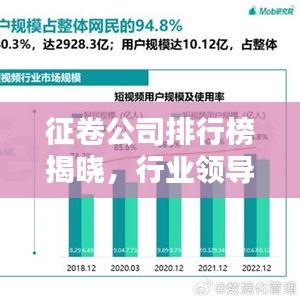 征卷公司排行榜揭晓，行业领导者与趋势引领者浮出水面