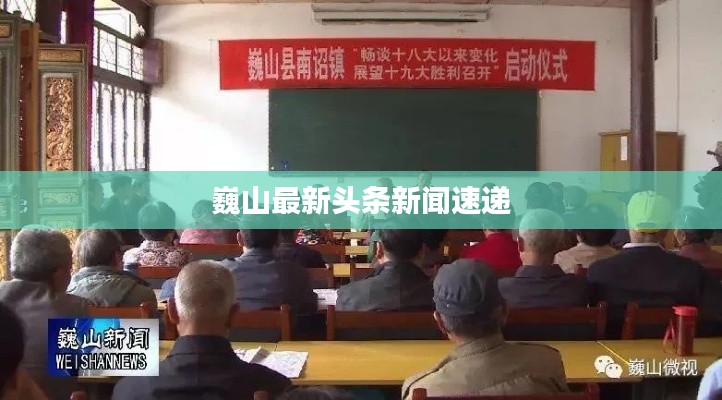 巍山最新头条新闻速递