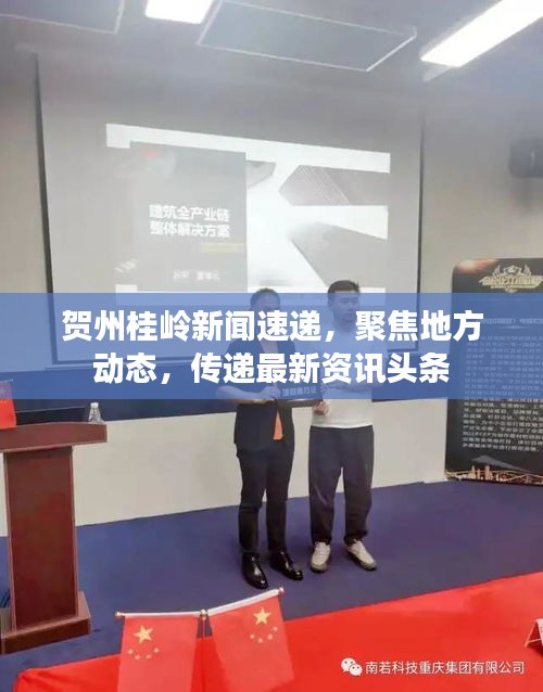贺州桂岭新闻速递，聚焦地方动态，传递最新资讯头条