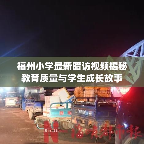 福州小学最新暗访视频揭秘教育质量与学生成长故事