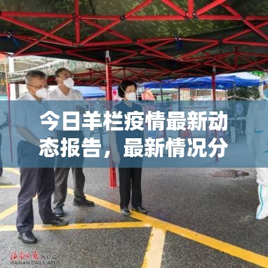 今日羊栏疫情最新动态报告，最新情况分析