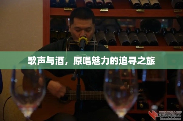 歌声与酒，原唱魅力的追寻之旅