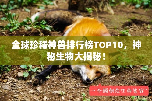 全球珍稀神兽排行榜TOP10，神秘生物大揭秘！
