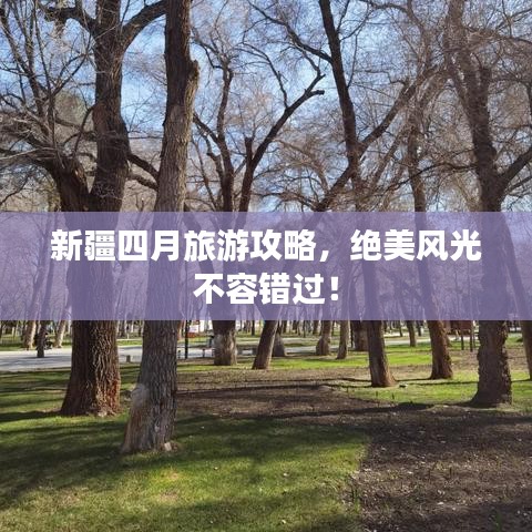 新疆四月旅游攻略，绝美风光不容错过！