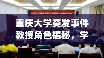 重庆大学突发事件教授角色揭秘，学者如何应对危机？