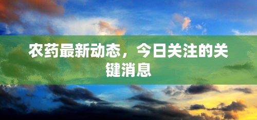 农药最新动态，今日关注的关键消息