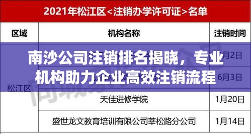 南沙公司注销排名揭晓，专业机构助力企业高效注销流程